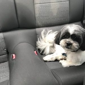 Meet your Posher, Merced